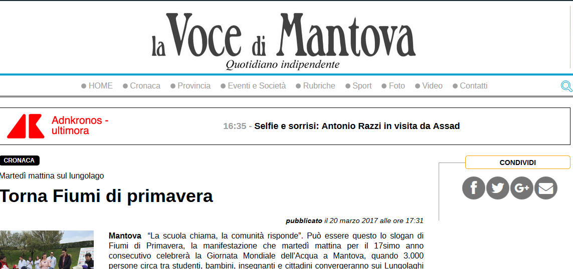 voce mn 20 3 2017