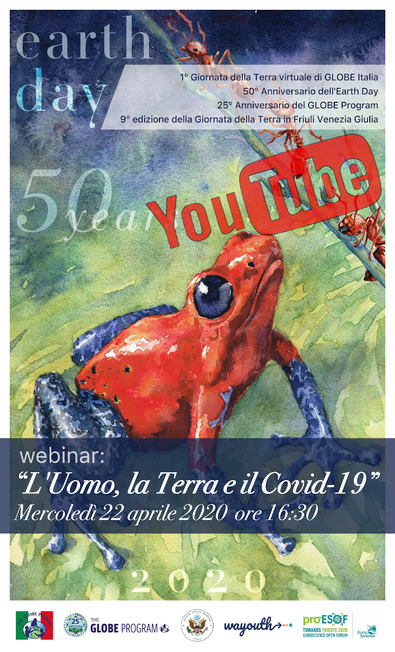 locandina webinar covid youtube