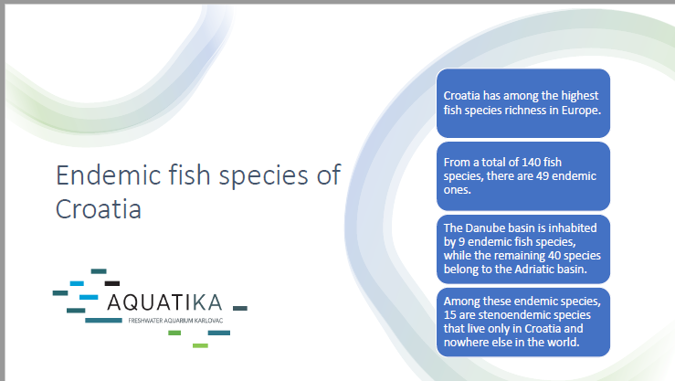 A 23 Endemic fish species of Croatia Ivana Kaleb