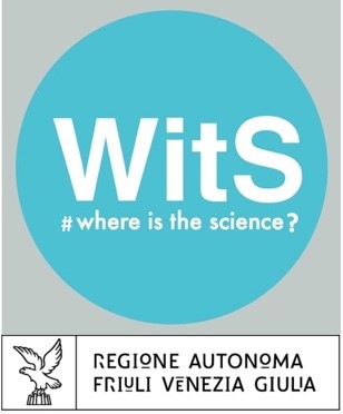 LOGO WitS