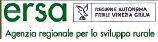 logo-ersa-friuli