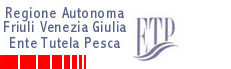 logo regione friuli