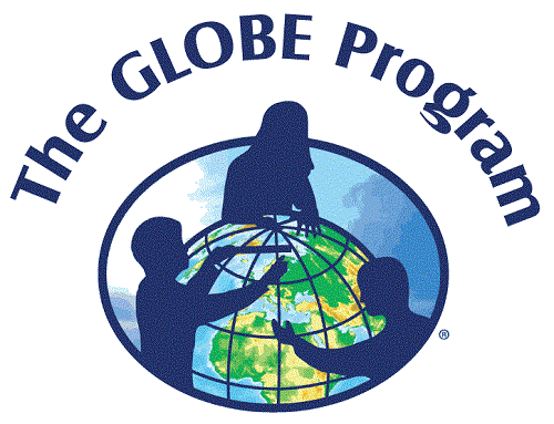 logo globe-color-arc -rid-500