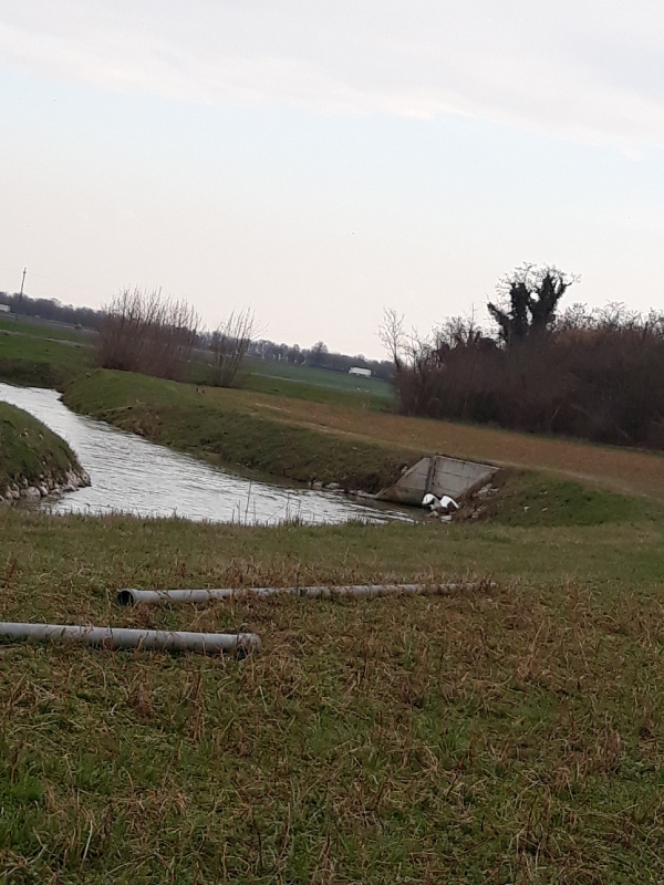 Acqua a Rivalta-10