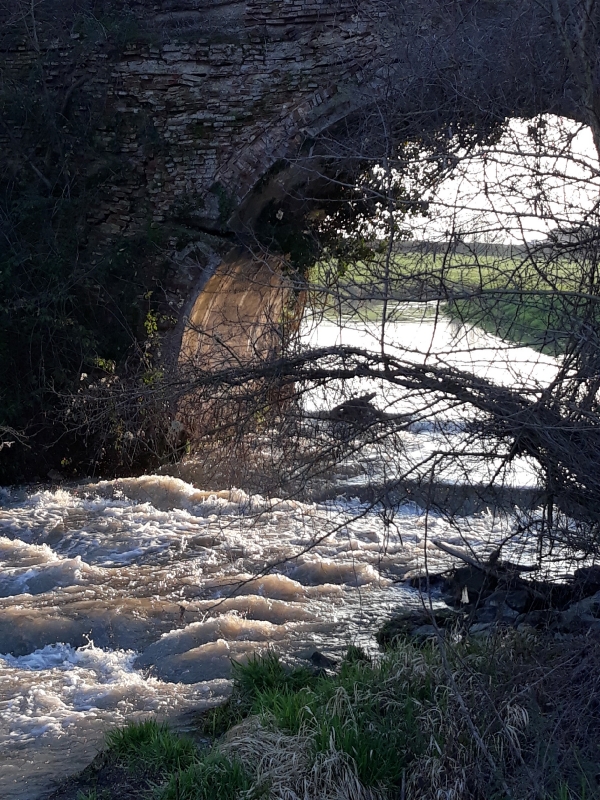 Acqua a Rivalta-17