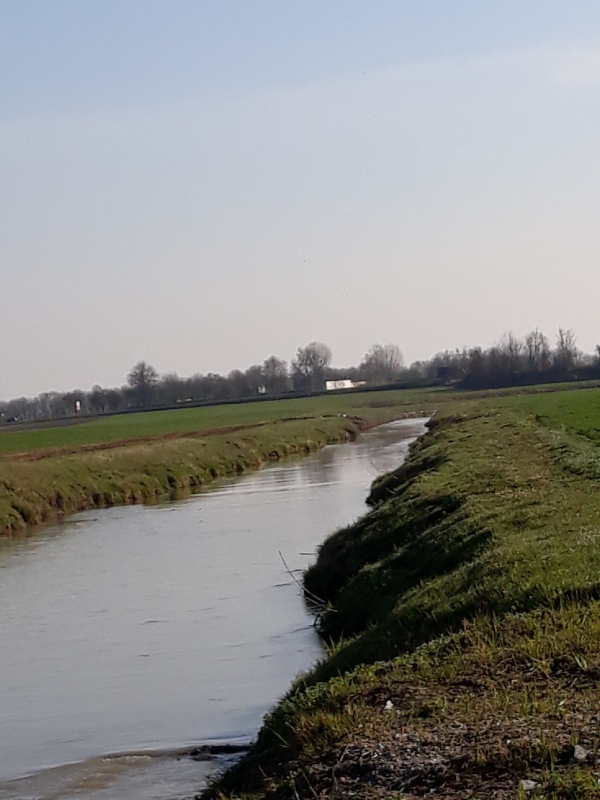Acqua a Rivalta-6