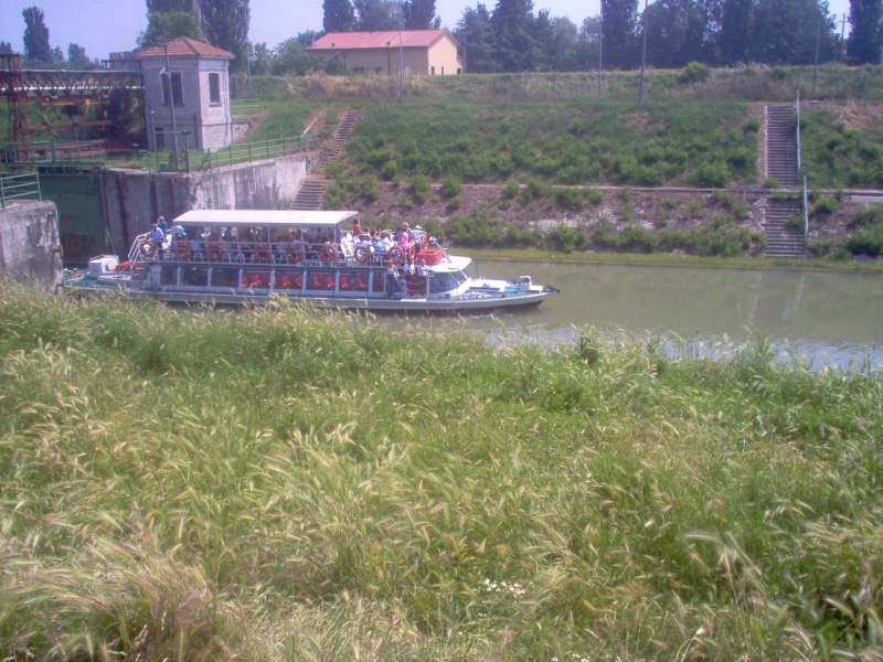 Conca di Governolo (MN)-8