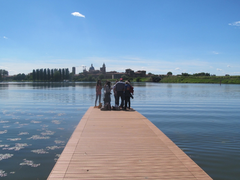 Laghi di Mantova-1