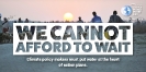 We cannot afford to wait-1